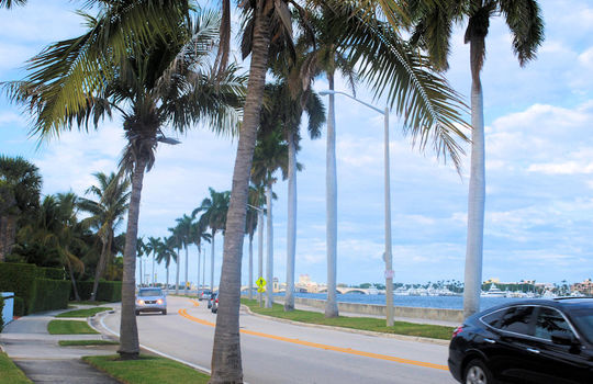 SoSo West Palm Beach (6)