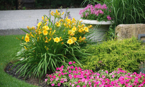 Make a Great First Impression with Curb Appeal!