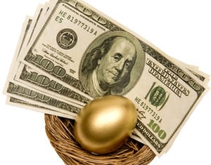 Golden Egg And Money In Nest Isolated On White