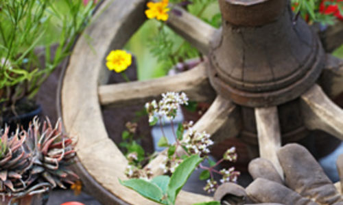 Mix Vegetables with Your Flower Garden? Absolutely!