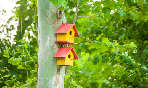 Make Your House Feel at Home!