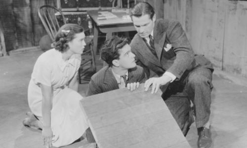 Great Ideas for a Wine Cellar!