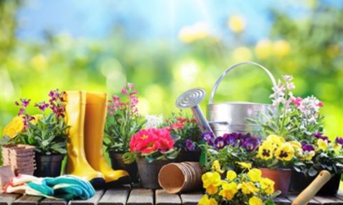 Pacific Northwest Spring Gardening Tips!