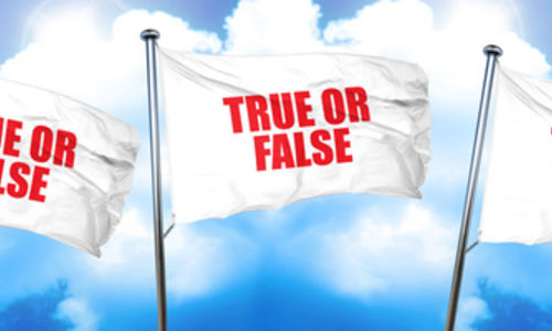 The Truth About Real Estate Agents!