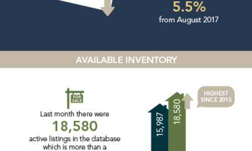 Local Market Update!