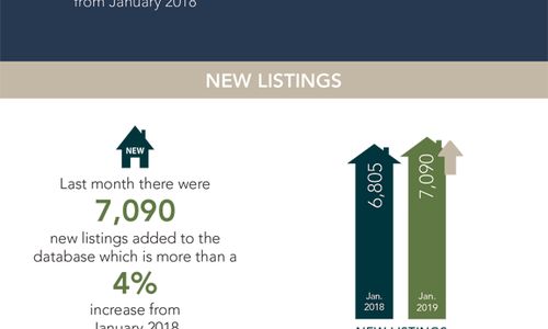 Local Market Update!