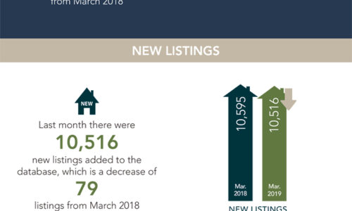 Local Market Update!
