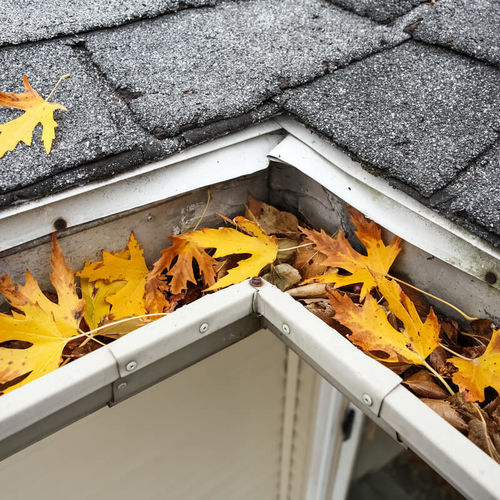 Gutter Maintenance That Could Save You Thousands!
