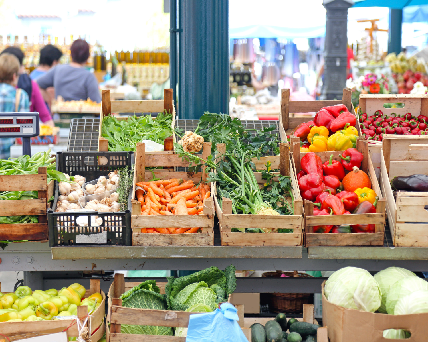 Farmers market in East Cobb, Atlanta with fresh produce, flowers, and artisan goods