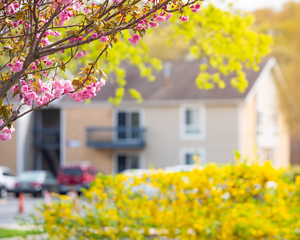 spring-home-selling-tips
