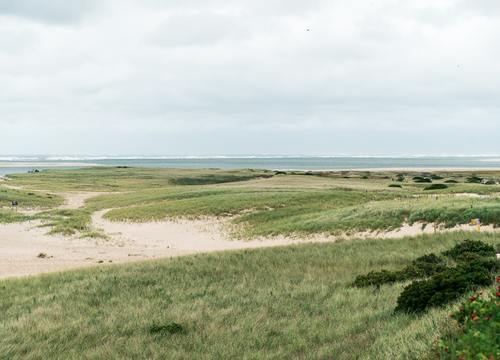 Cape Cod MA Real Estate Homes for Sale