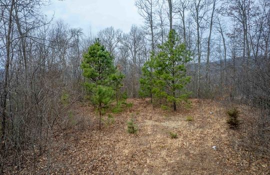 3-13-25_Alarka Highlands-lot-12