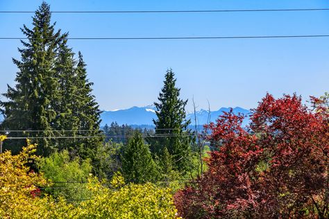 Upgrade Realty – 6408 83rd Ave SE Snohomish (13)