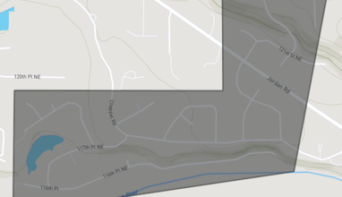 Blue Spruce, Arlington