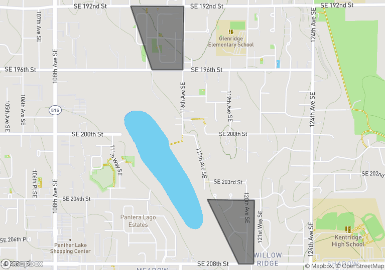 Panther Lake, Renton, WA Homes & Real Estate For Sale Upgrade Realty