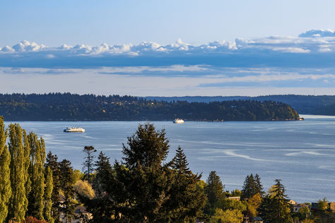 4847 California Ave SW 209 Seattle &#8211; Upgrade Realty3