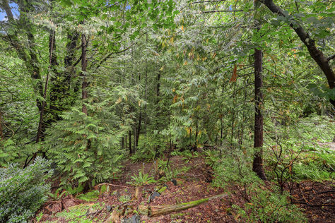 22131 NE 13th Pl Sammamish – Upgrade Realty7