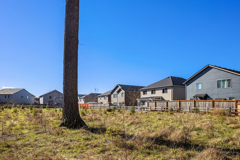 3025 85th Dr NE Marysville – Upgrade Realty3