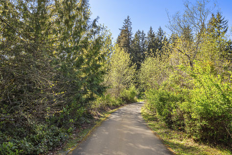 8015 Chestnut Hill Dr SE Olympia – Upgrade Realty3