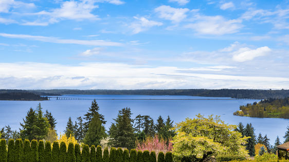 8305 NE 117th St Kirkland – Upgrade Realty22