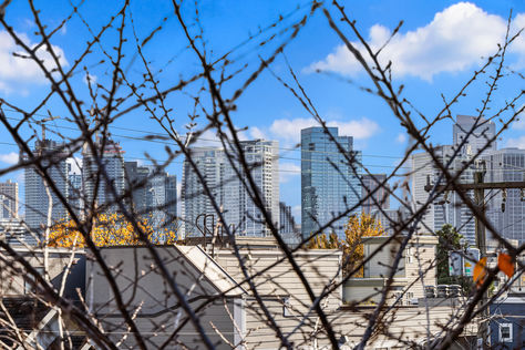 Updated- 1219 6th Ave N 201 Seattle, WA- Upgrade Realty5