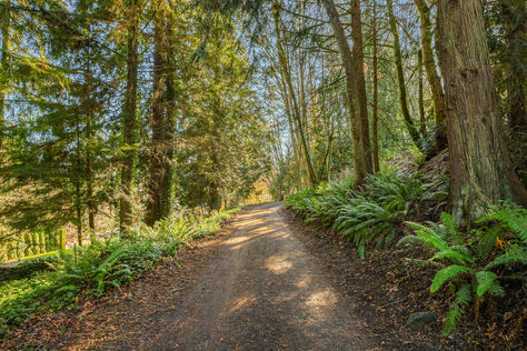 6289 NE Lincoln Rd E Poulsbo - Upgrade Realty55