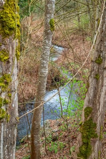 19805 15th Ave NE #3 Shoreline WA - Upgrade Realty28