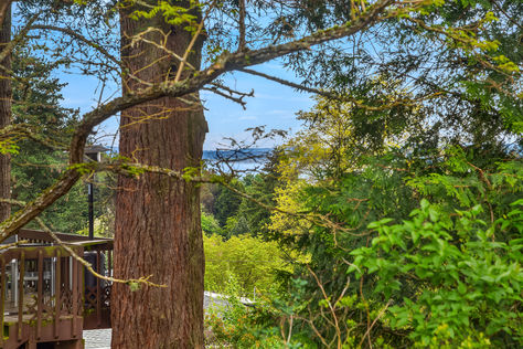 10919 28th Ave SW Seattle WA 98146- Upgrade Realty46