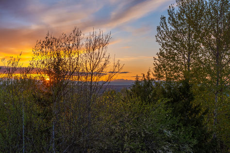 2805 Cedar Ave S Renton WA - Upgrade Realty33