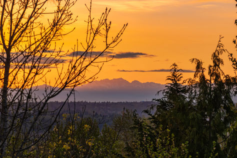 2805 Cedar Ave S Renton WA - Upgrade Realty34