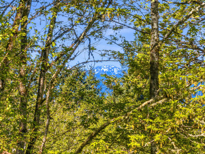 3760 Tracyton Beach Rd NW Bremerton WA - Upgrade Realty47
