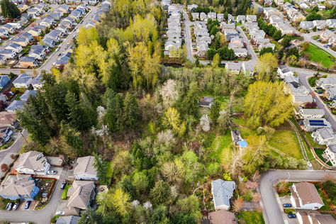 5416 NE 5th Pl Renton WA - Upgrade Realty11