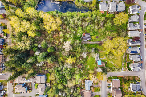 5416 NE 5th Pl Renton WA - Upgrade Realty17