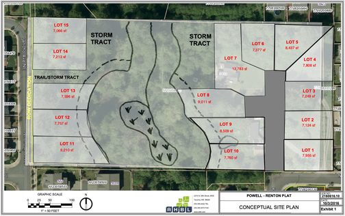 conceptual site plan