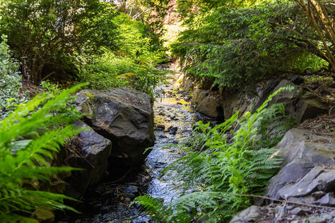 1211 6th Pl S Edmonds WA- Upgrade Realty38