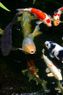 8114 64th Dr NE Marysville WA- Upgrade Realty4