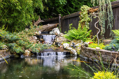 8114 64th Dr NE Marysville WA- Upgrade Realty6