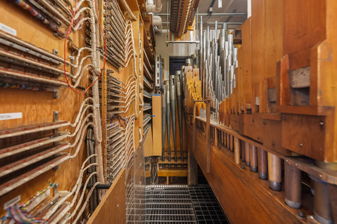 1918 N 41st St Seattle WA - Upgrade Realty41