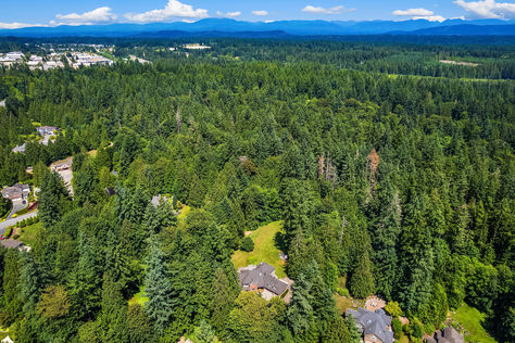 23401 82nd Ave SE Woodinville WA - Upgrade Realty101