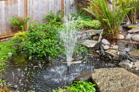 3833 24th Ave W Seattle WA - Upgrade Realty6