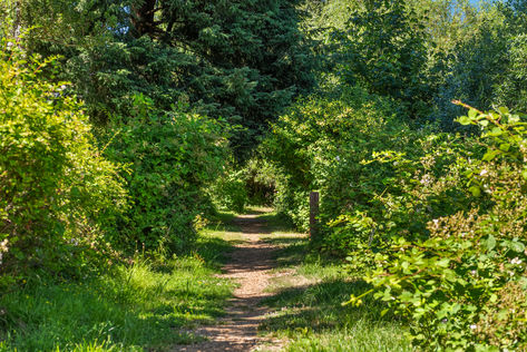 7525 129th Pl SE E107 Newcastle WA - Upgrade Realty39