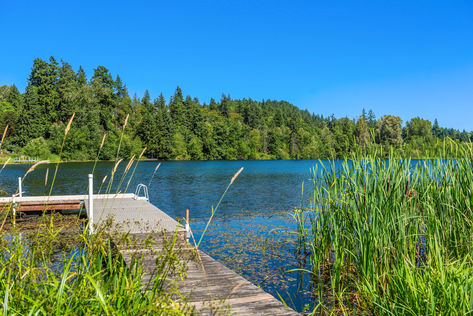 7525 129th Pl SE E107 Newcastle WA - Upgrade Realty40