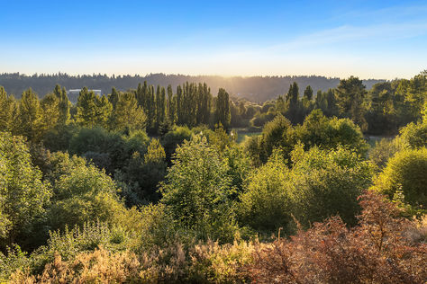 15335 NE 106th Ct Redmond WA - Upgrade Realty27