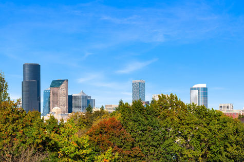 303 23rd Ave S #310 Seattle, WA 98144 - Upgrade Realty - Floorplan18