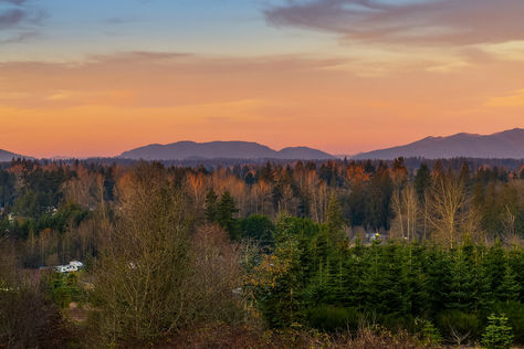 12974 SE 288th Pl Renton WA- Upgrade Realty23