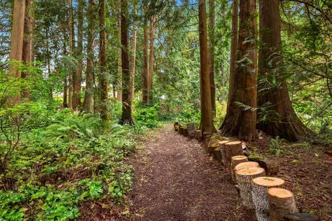 13716 50th Ave W, Edmonds, WA 98026- Upgrade Realty43