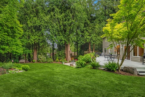 2236 224th Pl NE, Sammamish, WA - Upgrade Realty5