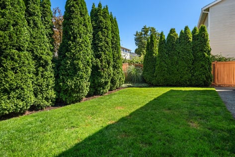 1317 59th St SE Auburn, WA - Upgrade Realty26