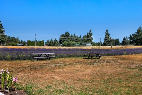 18507 Sargent Rd, Rochester, WA - Upgrade Realty27