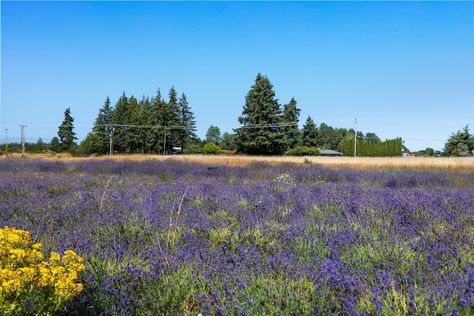 18507 Sargent Rd, Rochester, WA - Upgrade Realty29